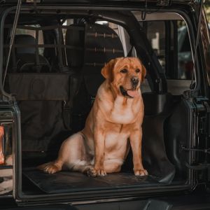 XG Cargo Sportsman JKU Floor Liner (Speaker in Floor)